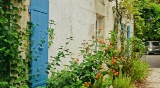 6202C88D-74A9-4B12-9BFD-8D1502338555_1_201_a